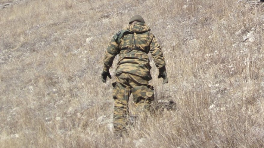 Главная картинка новости: В Кировской области вместо земельного участка семьи участников СВО могут получить выплату