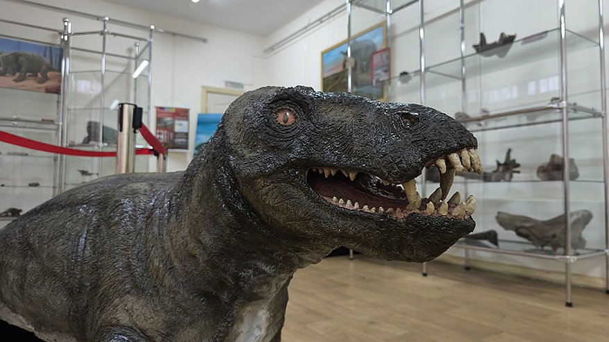 Главная картинка новости: Выставка Вятского палеонтологического музея открылась в Глазове (0+)