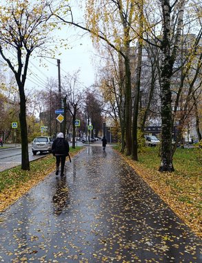 Циклон принесет в Кировскую область дождь и ветер, а за ним в регион придут морозы и снегопады