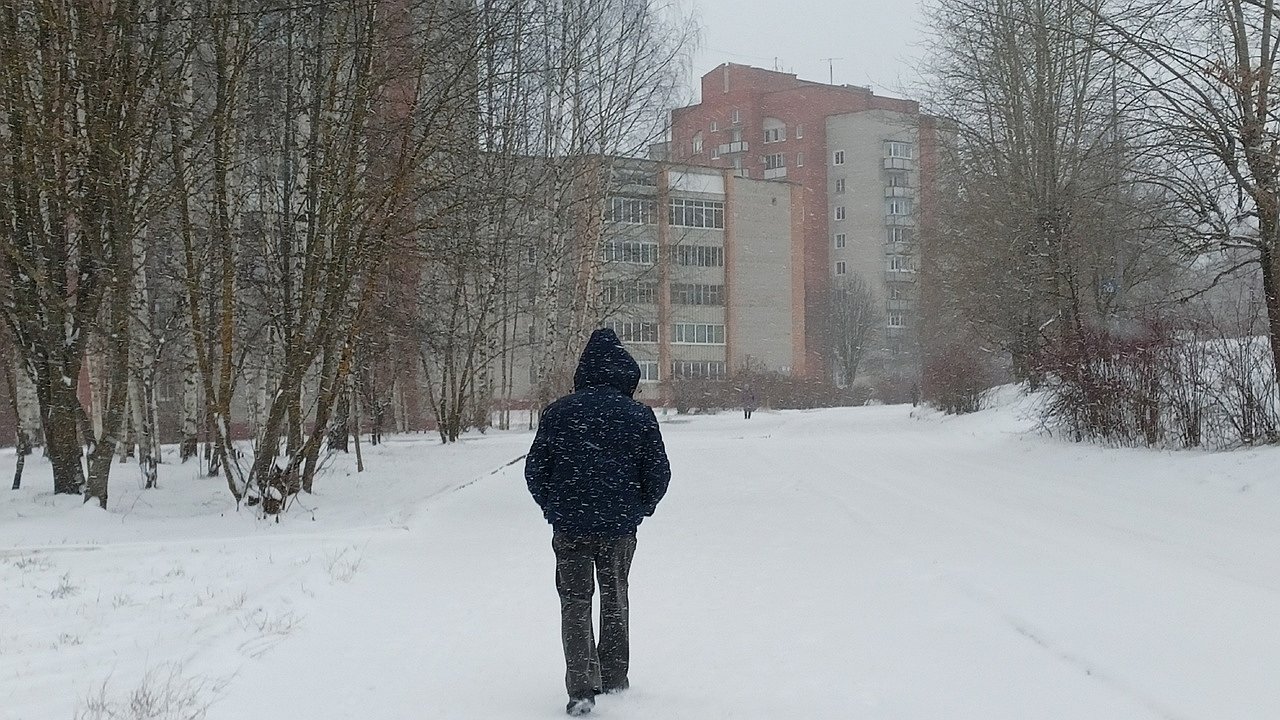 Главная картинка новости: Зима удивит своей погодой: народные приметы уже показывают прогноз – всегда смотрю на 3 вещи