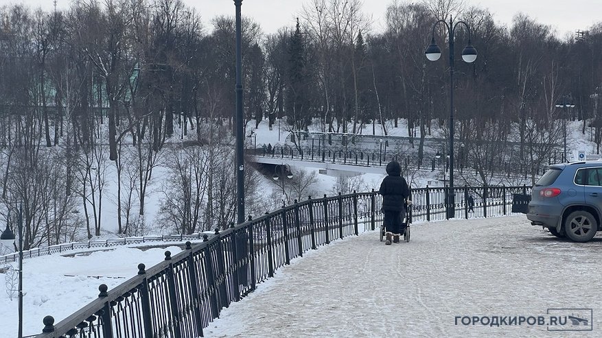 Главная картинка новости: Эксперт поддержала запрет в Кировской области: «Вейпы — это не альтернатива курению, а ловушка для нового поколения»