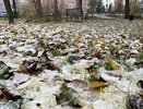 Холод придет резко и без предупреждения: Вильфанд сказал, когда закончится теплая погода