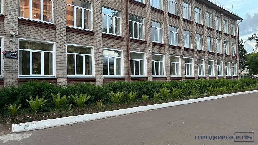 Главная картинка новости: Сомнения в тарелках: почему родители Кировской области не доверяют питанию в детских садах