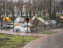 В парке имени Кирова появятся новые площадки для детей, йоги и собак