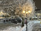 Зима 2026 ударит без пощады: синоптики предупредили дачников и садоводов, к чему готовиться