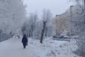 Миниатюра новости: Ощутимые морозы и частые оттепели: Вильфанд дал долгосрочный прогноз на зиму 2025-2026