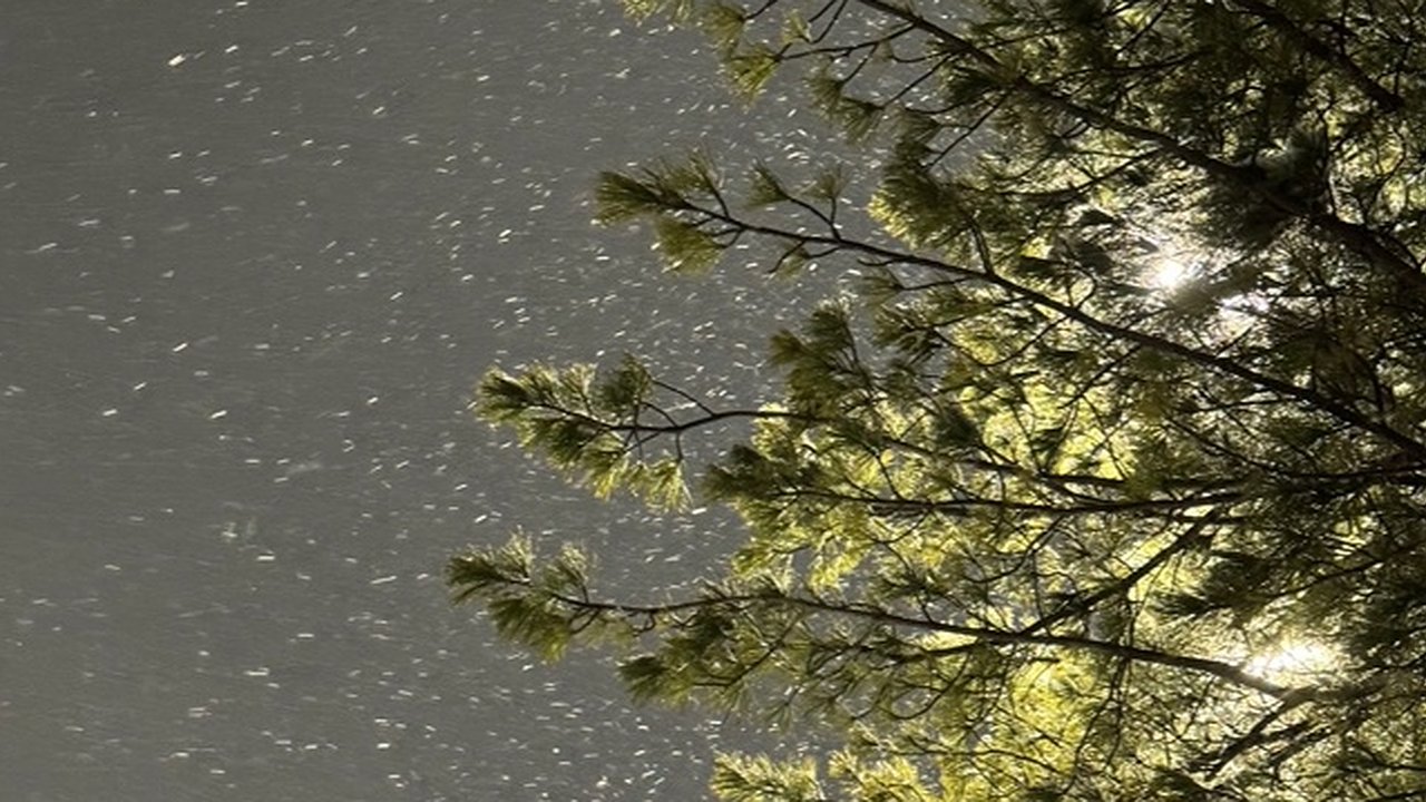 Главная картинка новости: После 10 ноября в Кировской области ночные морозы уйдут на северо-восток региона