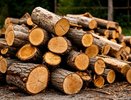 Топлю печку третий год одним «вечным поленом» - сократил расход дров в 2 раза. Гении в деревнях только так и делают