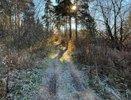 Жителям Кировской области обещают заморозки до минус 6 градусов ночью