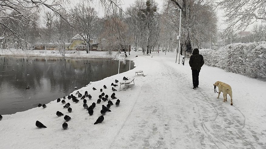 Главная картинка новости: Такой зимы Россия ещё не видела: синоптики рассказали, чего ждать в ближайшие месяцы
