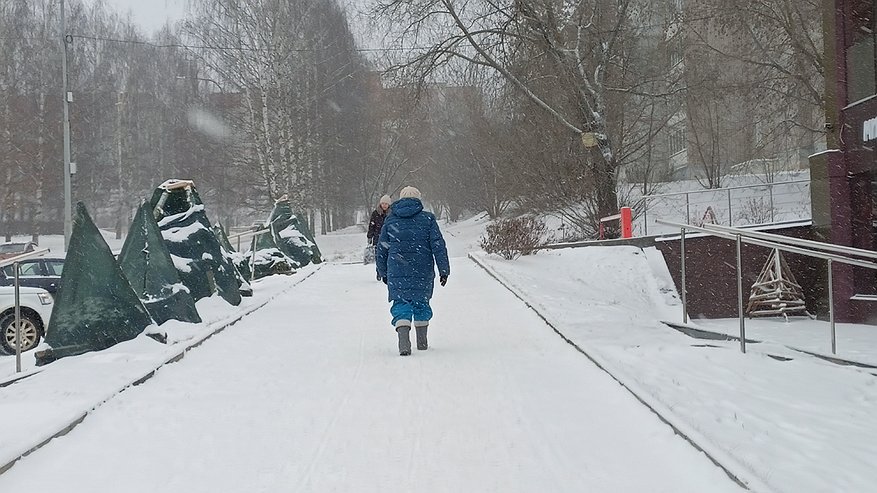 Главная картинка новости: Зима 2025–2026 готовит сюрпризы: когда ждать морозов и снегопадов по месяцам