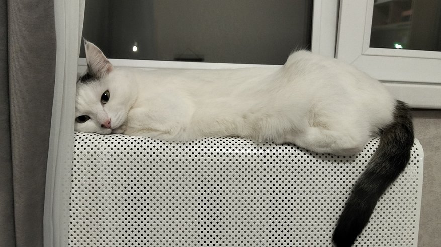 Главная картинка новости: В Кировской области отопительный сезон проходит в штатном режиме