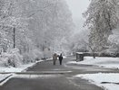 Из-за погоды кировчанам объявили предупреждение на 18 ноября