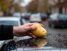Лайфхак для водителей: как дедовский метод с картофелем делает стекла автомобиля идеально чистыми