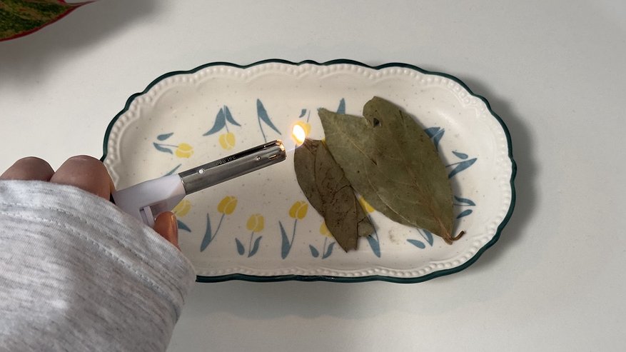 Главная картинка новости: Всегда зажигаю лавровый лист в квартире раз в неделю - лишь единицы знают, для чего это нужно