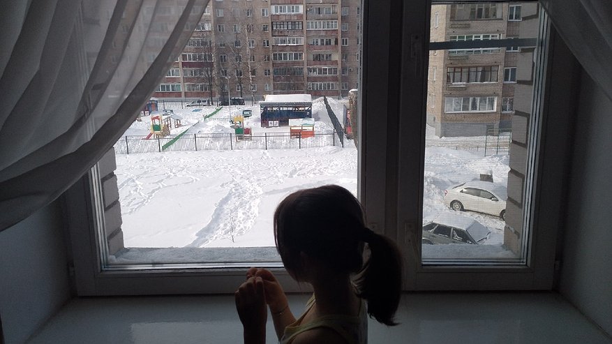 Главная картинка новости: Ставлю на подоконник одну вещь и всю зиму живу спокойно: в доме тепло даже в -40°C и пахнет сибирским лесом