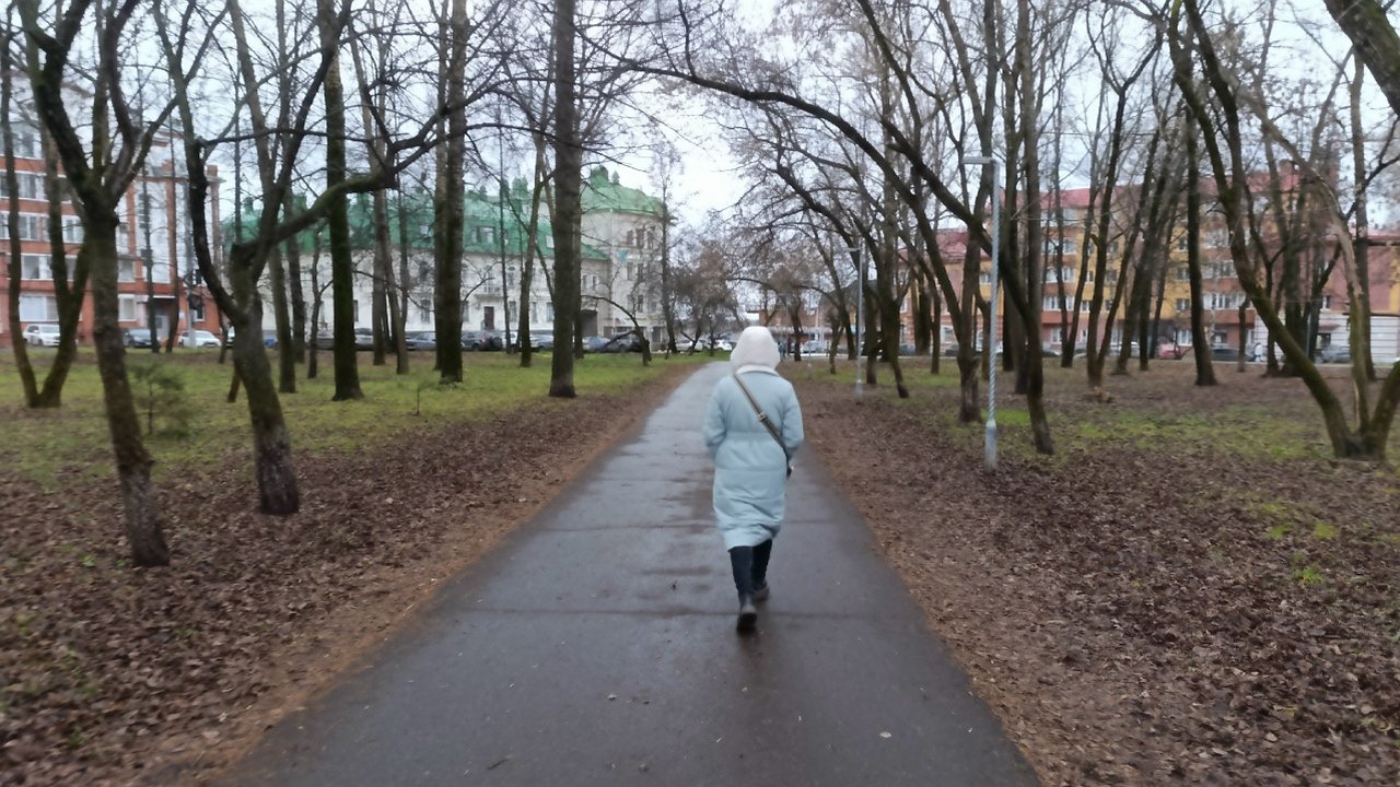 Главная картинка новости: Метеорологи обещают теплое начало декабря на территории Кировской области