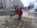 Верховный Суд поставил точку: должен ли водитель ждать, пока пешеход полностью перейдёт дорогу