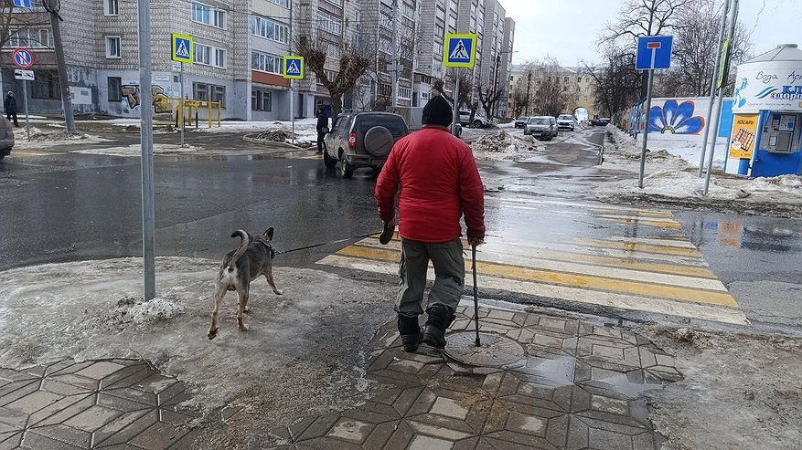 Главная картинка новости: Верховный Суд поставил точку: должен ли водитель ждать, пока пешеход полностью перейдёт дорогу