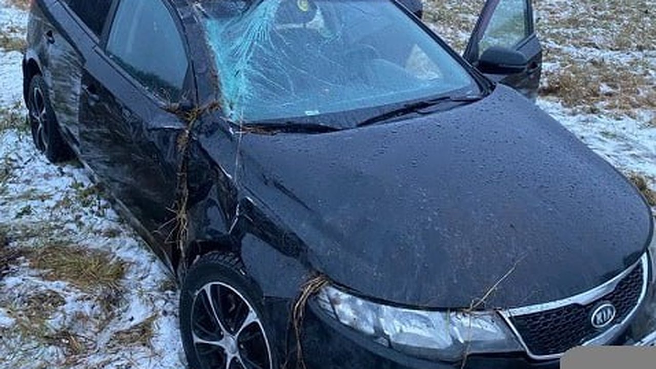 Главная картинка новости: На трассе Котельнич — Даровской перевернулся автомобиль, пострадала пенсионерка