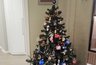 Миниатюра новости: Александр Соколов нарядил с семьей елку к Новому году