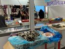 В Кировской области за неделю подорожала рыба, но подешевели куриные яйца