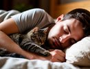 Реально ли сон с кошкой сокращает продолжительность жизни человека? Ученые поставили жирную точку в этом вопросе