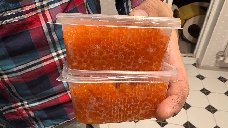 Главная картинка новости: Купила на улице красную икру по 200 рублей за банку: открыла и побоялась ее есть - рассказываю, как нас обманывают