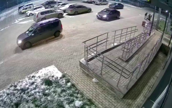 Кровавая трагедия на Торфяной улице: в Кирове питбуль напал на женщину с собакой, животное в итоге погибло