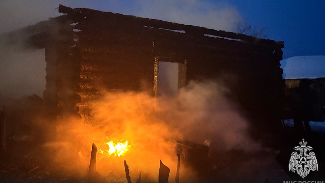 Главная картинка новости: В Кировской области из горящего дома спасли женщину с детьми