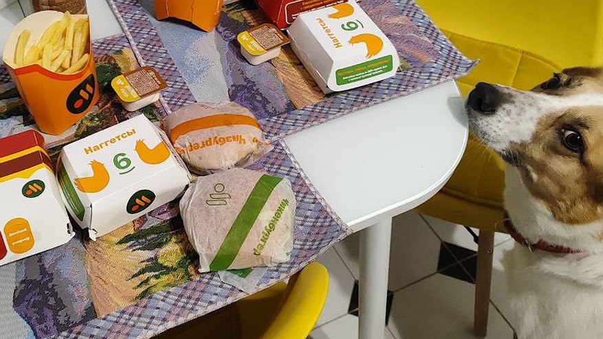 Главная картинка новости: «3,5 года работаю во "Вкусно и Точка"»: после ухода Макдоналдс изменилось многое - делюсь, стало лучше или хуже