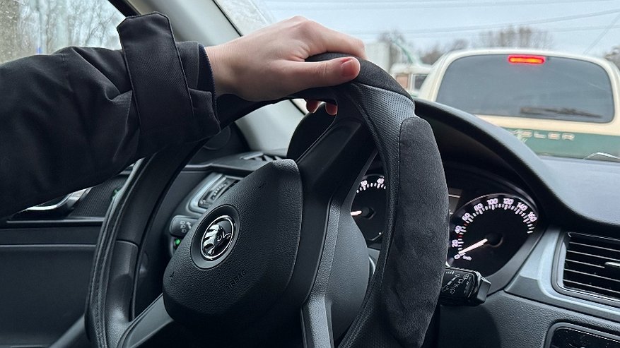 Главная картинка новости: Лоси, лисы и даже зайцы: в Кировской области за месяц насчитали 17 ДТП с дикими животными