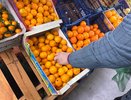 Горничная в южном отеле научила меня отличать мандарины из Абхазии от турецких: теперь покупаю только сладкие фрукты и ни разу не ошибся