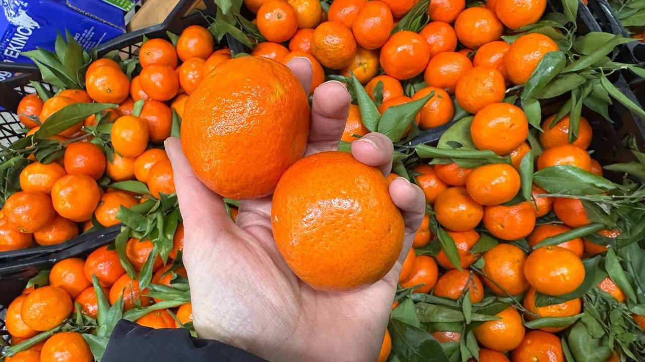 Главная картинка новости: Всегда смотрю на пупок и кожуру: как выбрать сладкие мандарины, не пробуя: советы для любителей цитрусовых