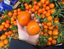 Всегда смотрю на пупок и кожуру: как выбрать сладкие мандарины, не пробуя: советы для любителей цитрусовых