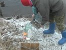 В Кировской области за слив в реку отходов молока компания отделалась штрафом в 100 тысяч
