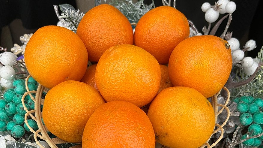 Главная картинка новости: Поехала на заработки в Абхазию на сбор мандаринов и хурмы: честно рассказываю, какую зарплату мне выдали и какой есть подвох