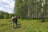 В Кировской области создадут национальный парк