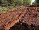 В Кировской области школьники неделями не могут попасть на уроки из-за разбитой дороги