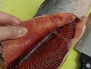 Почему горбуша за 300 рублей, а сёмга — за 1500? Обе лососи, но цена разная — разбираюсь