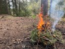 Жителям Кировской области запретили ходить в лес и жечь костры