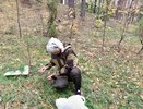 Самые черничные уголки Кировской области: гид по ягодным местам