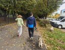 В конце сентября кировчан ждет теплая и сухая погода