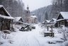 Миниатюра новости: Кладбище автомобилей и нетронутые дома, которые никому не нужны: нашли заброшенную деревню и были в шоке, что там увидели