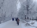 В Кировскую область нагрянут морозы под 30 градусов: где и когда будет холоднее всего