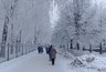 Миниатюра новости: В Кировскую область нагрянут морозы под 30 градусов: где и когда будет холоднее всего
