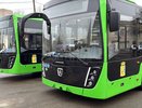 Новые зеленые автобусы с USB и климат-контролем поедут по самым загруженным маршрутам Кирова