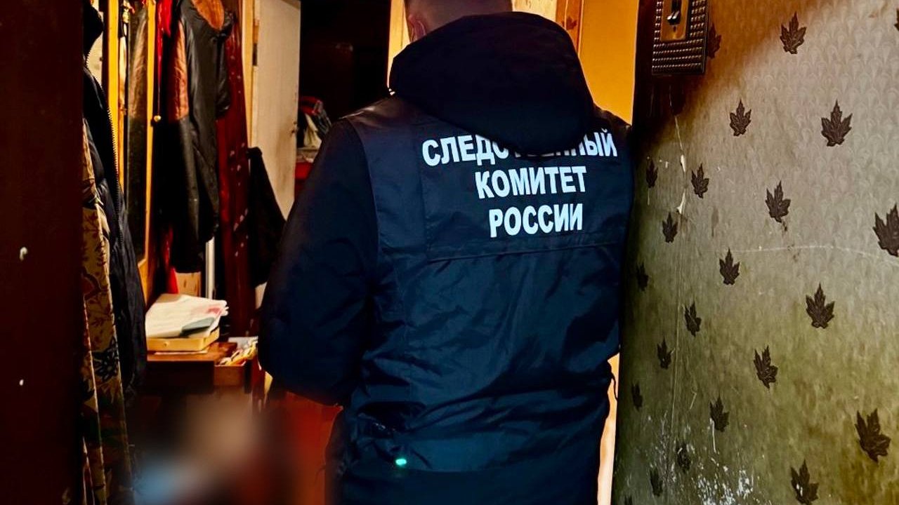 Главная картинка новости: «Сынок, пощади!»: в Кирове пьяный сын зверски убил престарелого отца