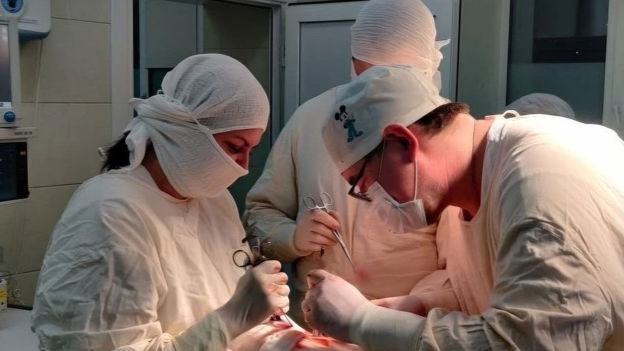 Главная картинка новости: В Кирове врачи спасли женщину с перерезанным горлом