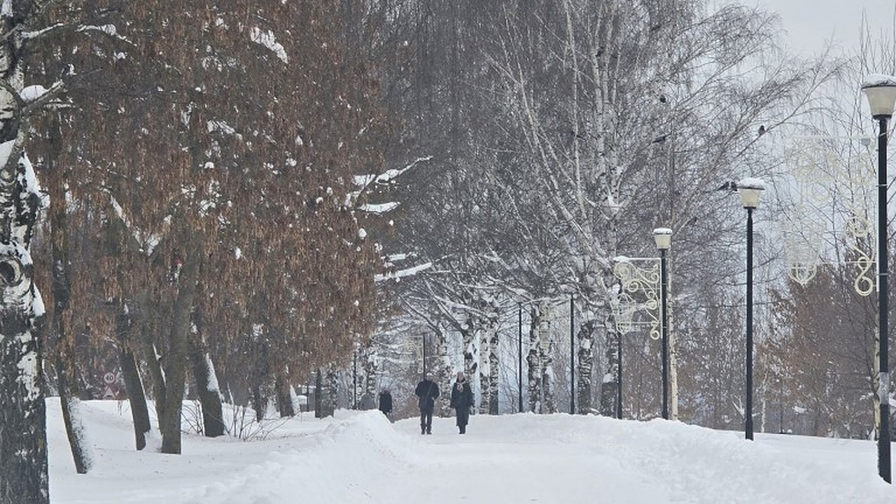 Главная картинка новости: Волна потепления придет в Киров: температура резко подскочит на 10 градусов